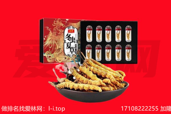 衡东县回收虫草.jpg